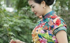 打飞专用徐娘照片